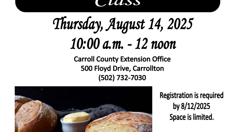 Beginners Sour Dough Bread Class