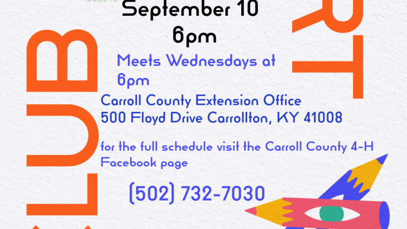 4-H Art Club