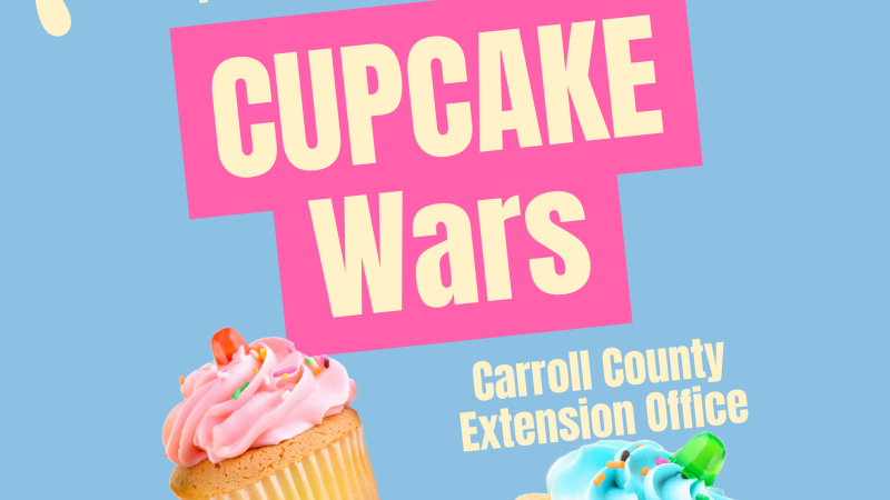 4-H Cupcake Wars